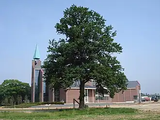 De Hoeksteen