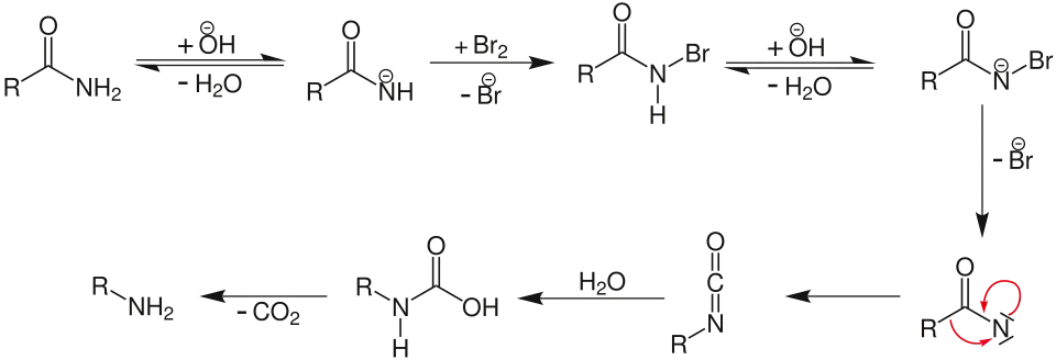 Het mechanisme van de hofmann-omlegging