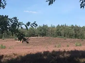 Hoge Ginkel met voormalige zandafgraving