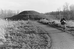 De hoge terp met geluidswal die het bos erachter beschermt tegen wind en geluid van de A31.
