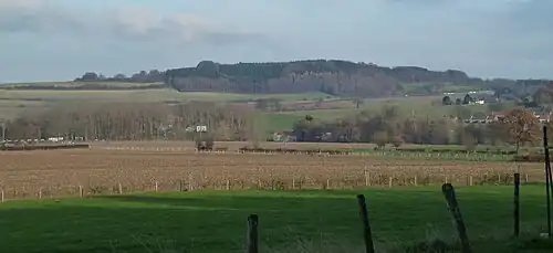 Zicht op de Schneeberg vanuit het dorp