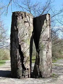 Zwei Diagonalschnitte, München