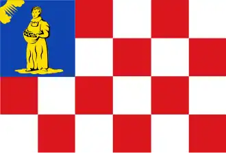 Vlag van Hooge en Lage Mierde