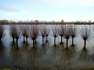 Wateroverlast in Nederland van januari 2012