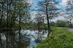 Meander in het Hoornse Diep