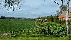 Gezicht over het landschap naast de Hoornsedijk