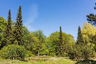 Zicht op de Laarmantuin