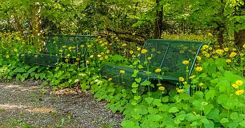 Stalen banken in de Laarmantuin