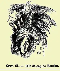 Houdan haan kop, Le Poulailer, 1858