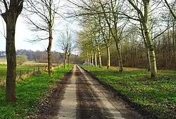 Meerssenderweg bij Kloosterbosch