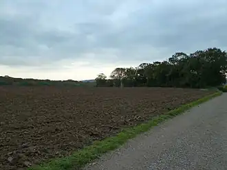 Het terrein van de villa