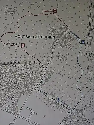 Houtsaegerduinen en het Kerkepannebos