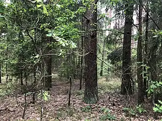 Hrodzenskaja Poesjtsja