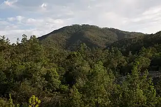 De bergketen in het park