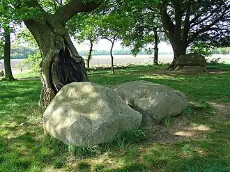 Hunebed D22 en op de achtergrond D21, 2008