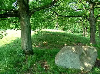 Hunebed D13 bij Eext