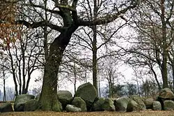 Hunebed D17 op de es bij Rolde