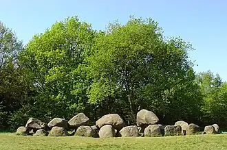 Hunebed D19 bij Drouwen