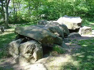 Hunebed D25 bij Bronneger, 2008