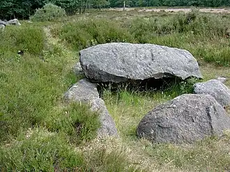 Hunebed D39 in het Valtherbos bij Emmen (links achter is hunebed D38 nog net te zien)