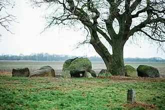 Hunebed D42 bij op de Schimmer esch bij Emmen