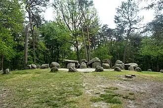 Hunebed D45 in de Emmerdennen te Emmen