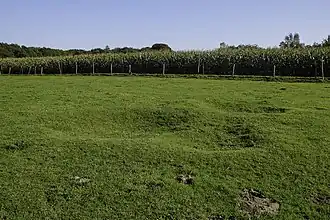 Locatie van het hunebed in de richting van het zuidoosten