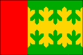 Vlag