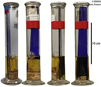 Hydrasterias sexradiata