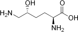 Hydroxylysine