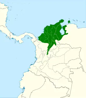 Roestkeelbaardkoekoek