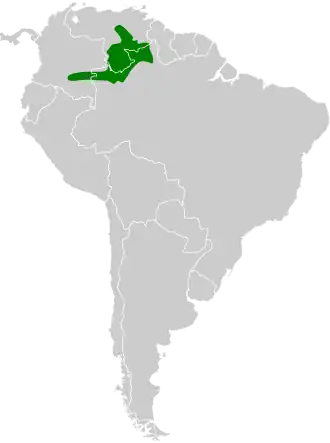 Imeriorpheusmierkruiper