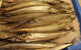 Hyporhamphus australis