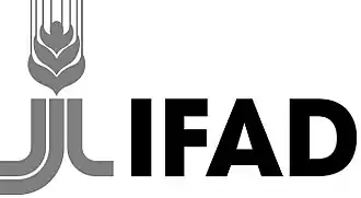 IFAD logo