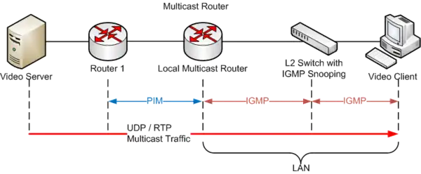 Multicast network architecture example