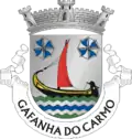 Vlag van Gafanha do Carmo