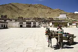 Gebruik als trekdier