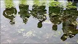 Excursie in Lentevreugd