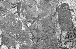 Iberdjen Wan Tabarakat: petrogliefen van Kel Essuf overdekt door schilderingen van de rondkopperiode