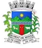 Wapen van Icaraí de Minas