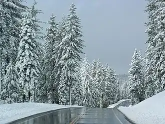 State Route 44 in de winter