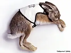 Kunstwerk Zelfportret (2004) of Sleeping Hare uit de fabel De schildpad en de haas.