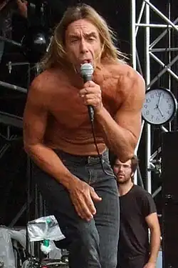 Iggy Pop (2008)
