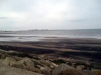 Hartlepool Submerged Forest