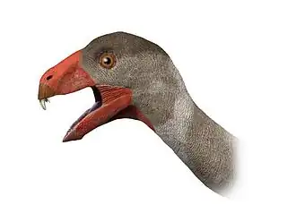 Incisivosaurus