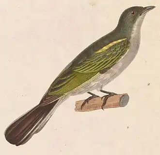 Maleise honingspeurder