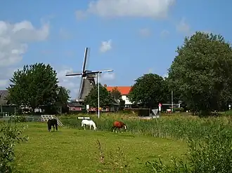 Zicht op de molen en de buurtschap