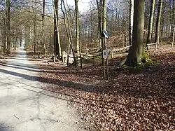 Ligging van het Ludvinakruis in Brakelbos