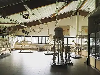 ingang van het museum