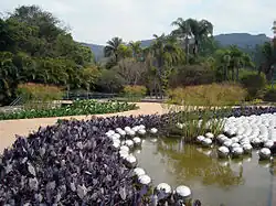 Narcissus Garden (2009), Inhotim